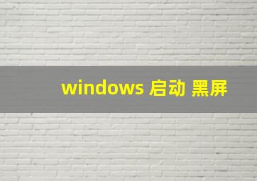 windows 启动 黑屏